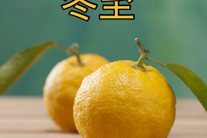 2025年　12月22日 冬至